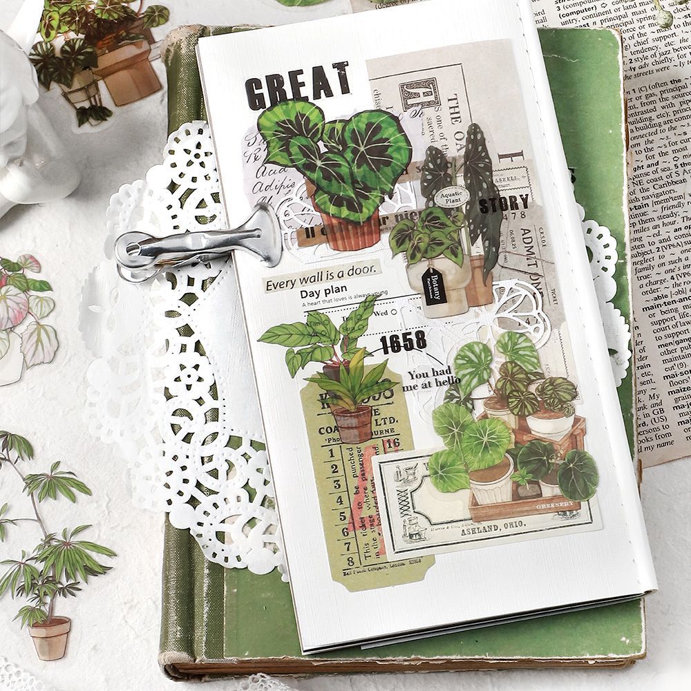 30pcs Nature Stickers LZYJ