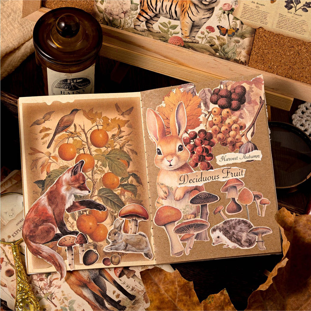 30 Pcs Vintage Scrapbook Paper WWYL