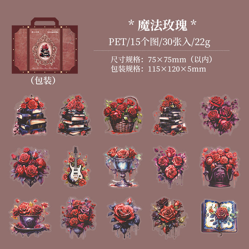 30pcs PET Magic Theme Stickers SQMFX