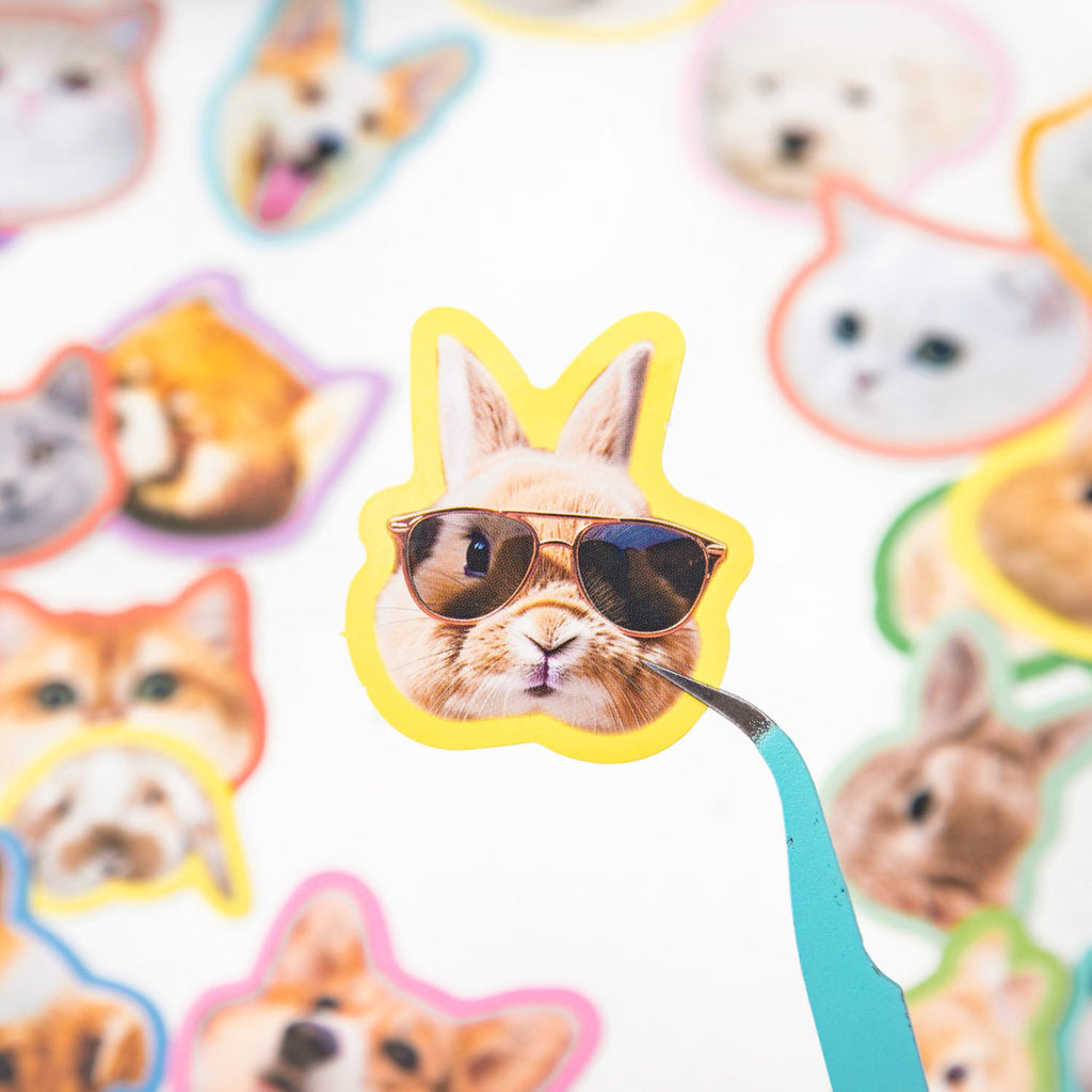 40PCS Animal Pet Stickers DWSYY