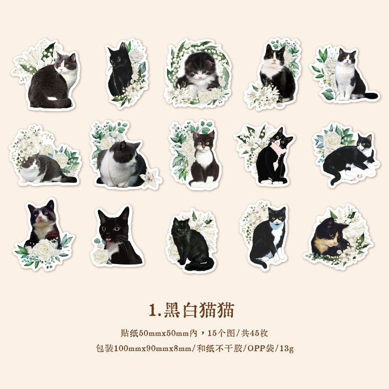 50PCS Cat Washi Stickers MMSJ