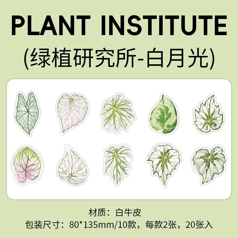 20Pcs Creative Notepad LZYJS