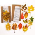 10Pcs PET Leaf Stickers YZQF