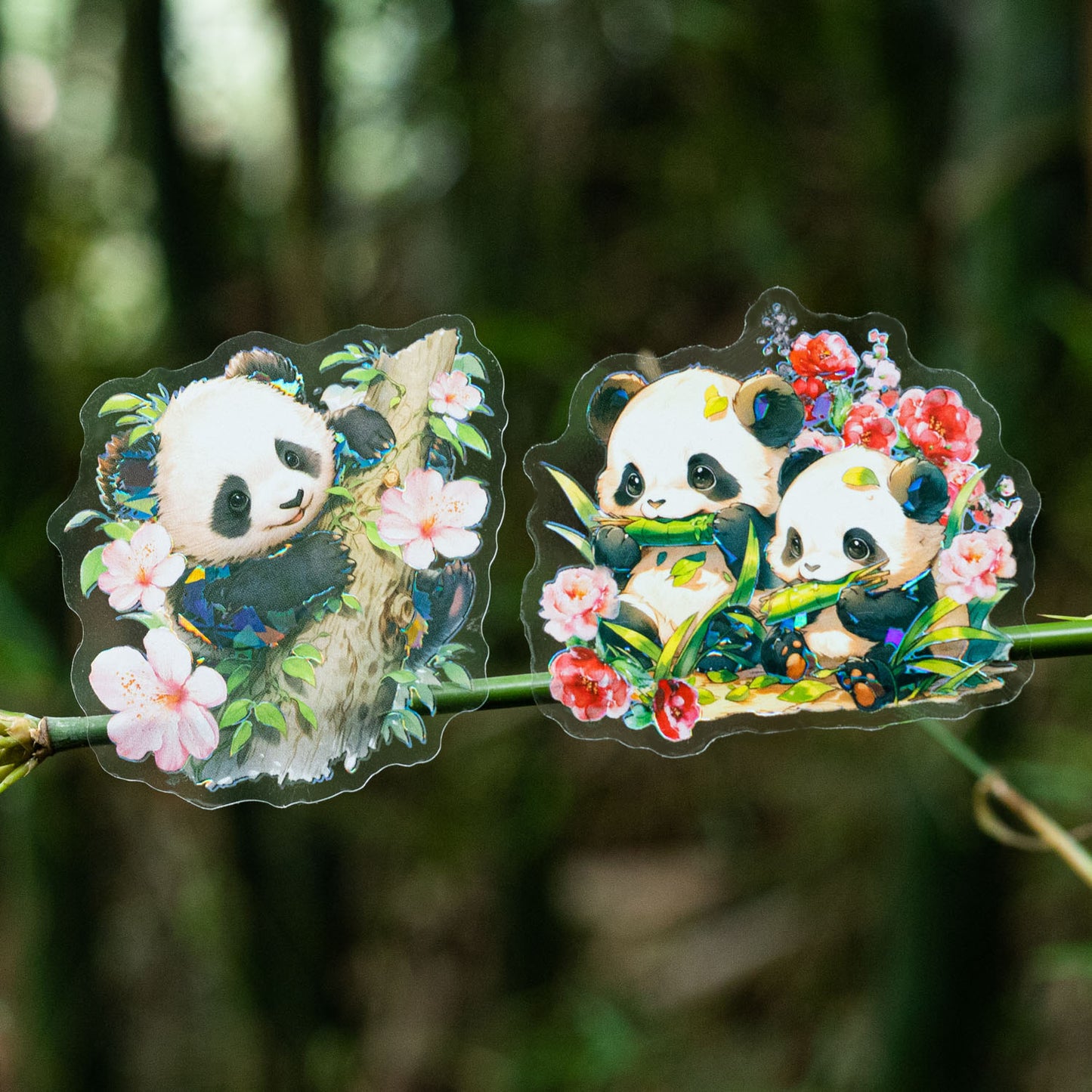 10pcs PET Panda Stickers SSMB