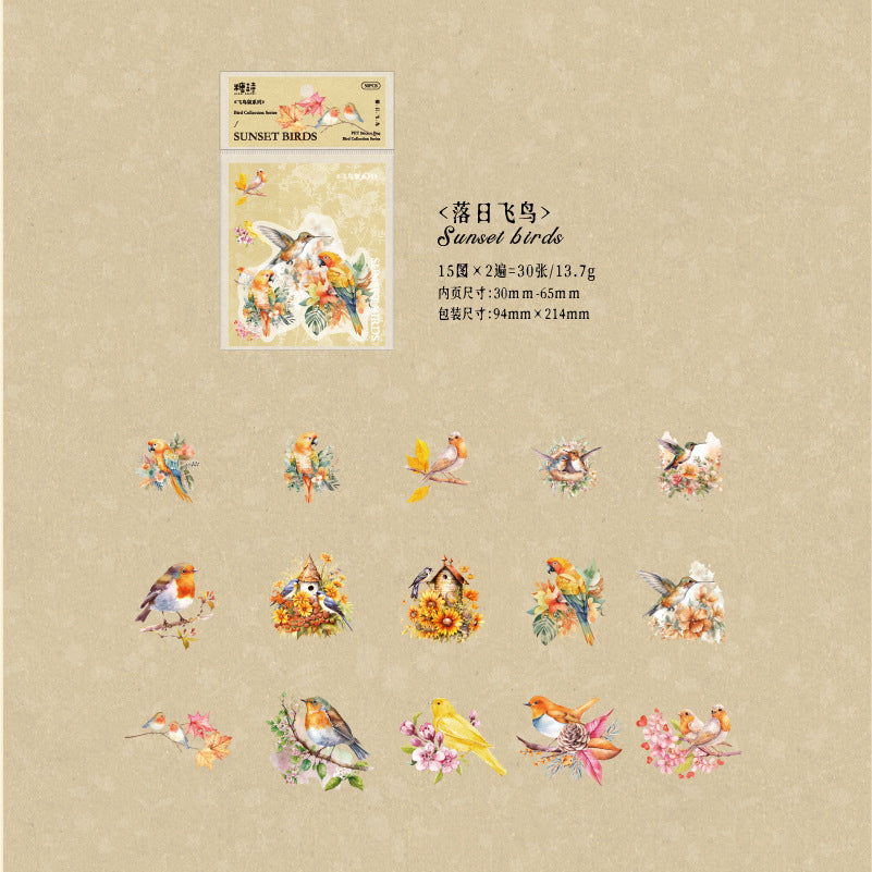 30pcs PET Bird Stickers FNJX