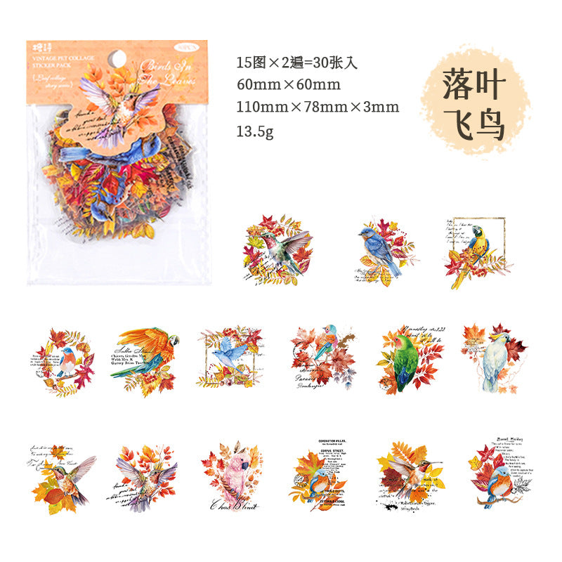 30pcs Vintage PET Collage Stickers YYPTWY