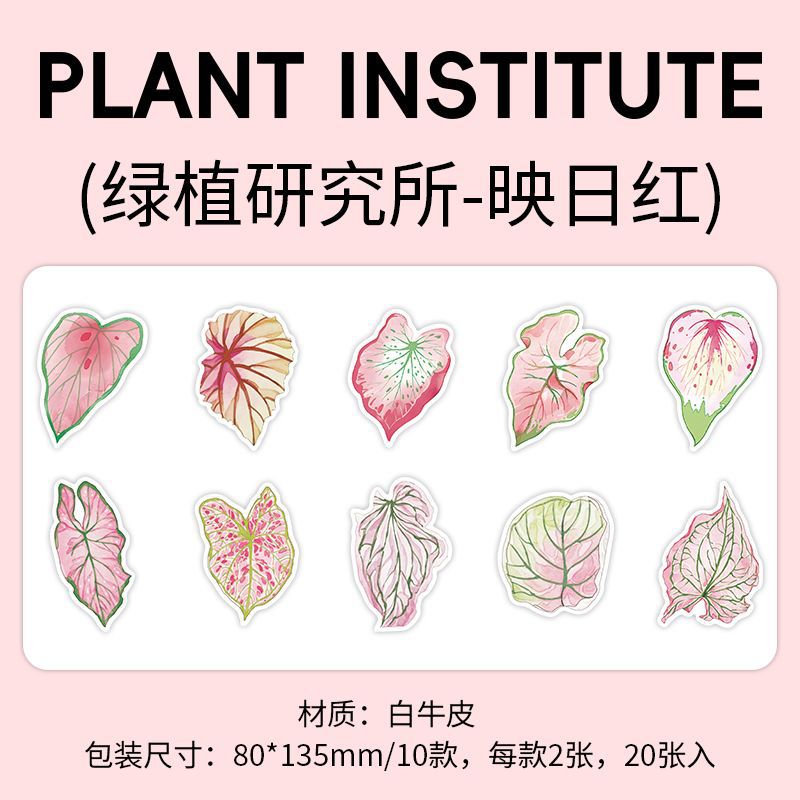 20Pcs Creative Notepad LZYJS