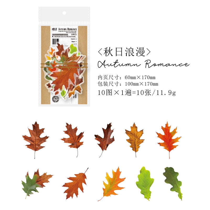 10Pcs PET Leaf Stickers YZQF
