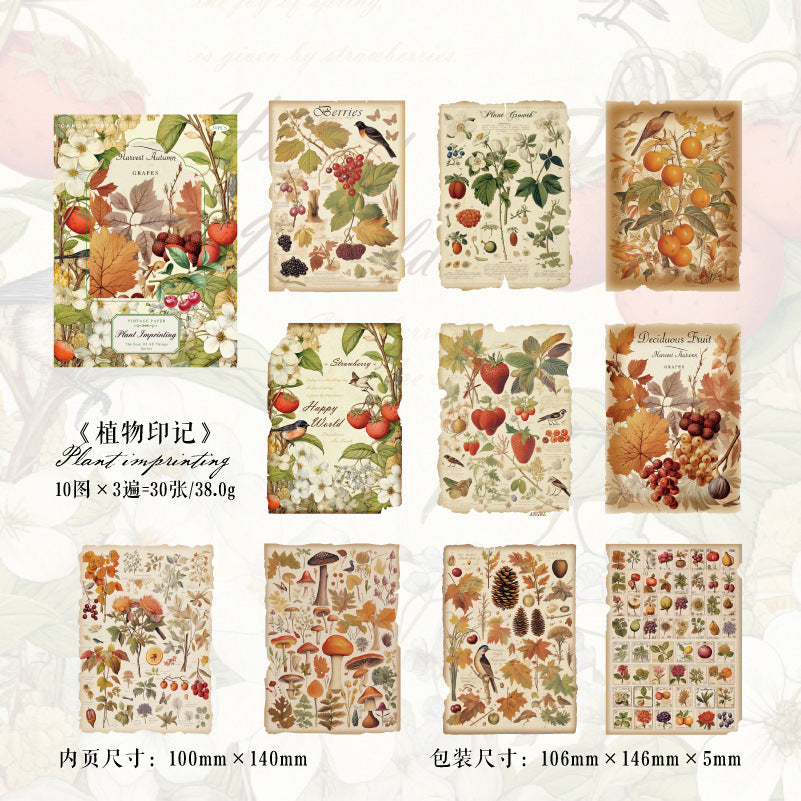 30 Pcs Vintage Scrapbook Paper WWYL