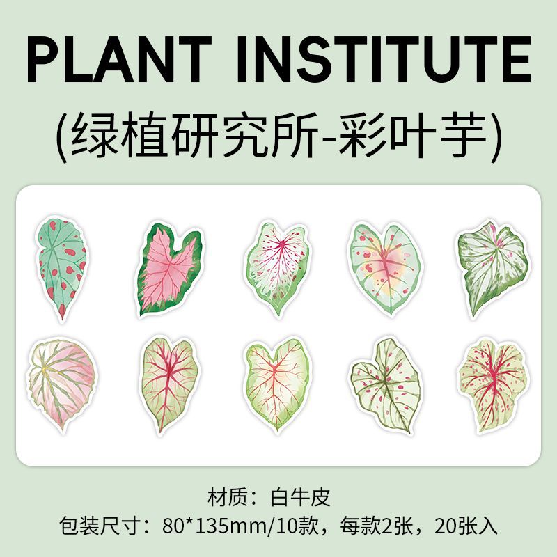 20Pcs Creative Notepad LZYJS