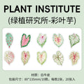 20Pcs Creative Notepad LZYJS