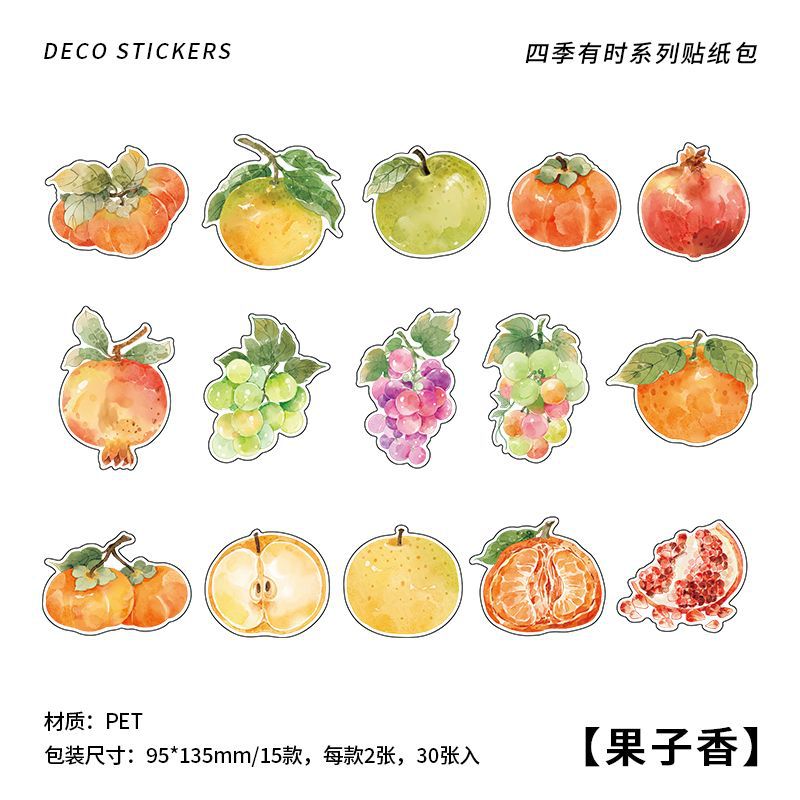 30pcs PET Life Stickers SJYS