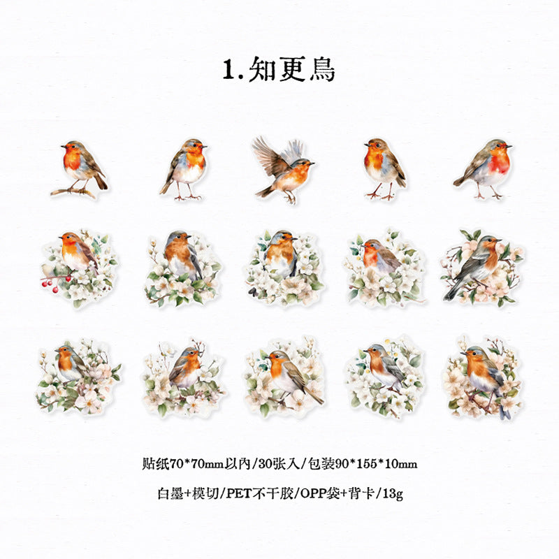 30pcs PET Bird Stickers FNSL