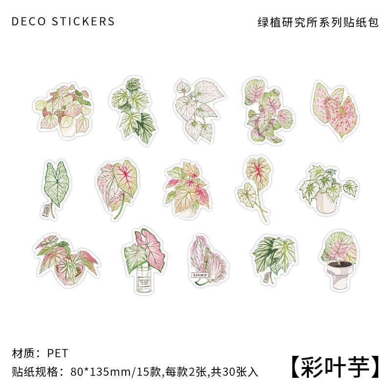 30pcs Nature Stickers LZYJ