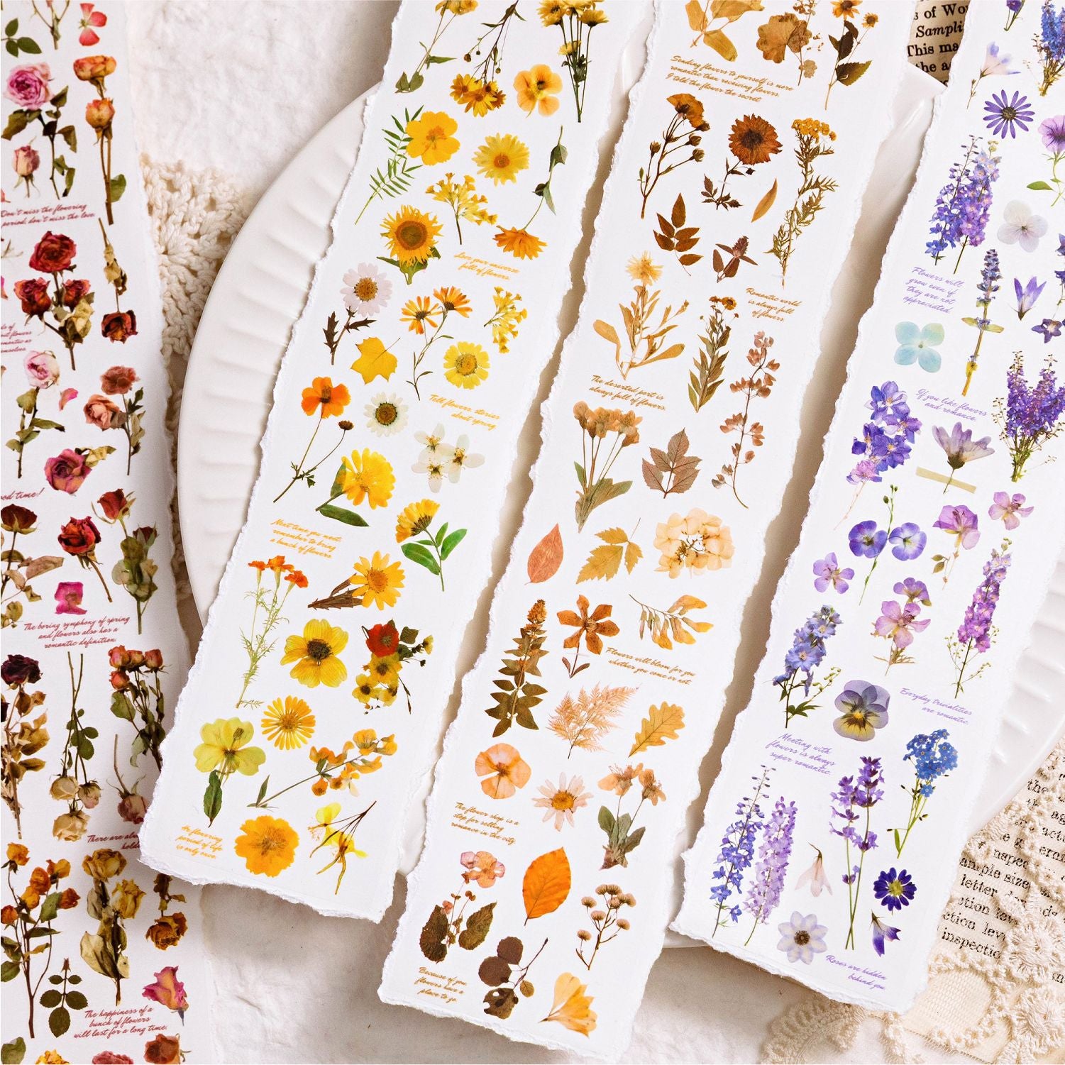 1 Roll PET Nature Stickers HSWL