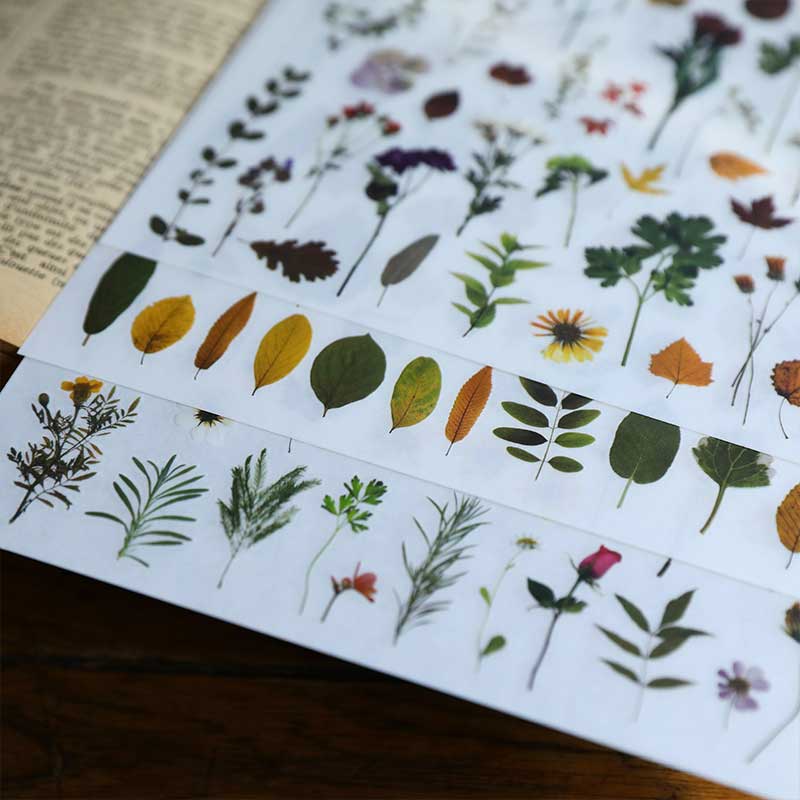 3 Sheets Botanical Rub on Stickers