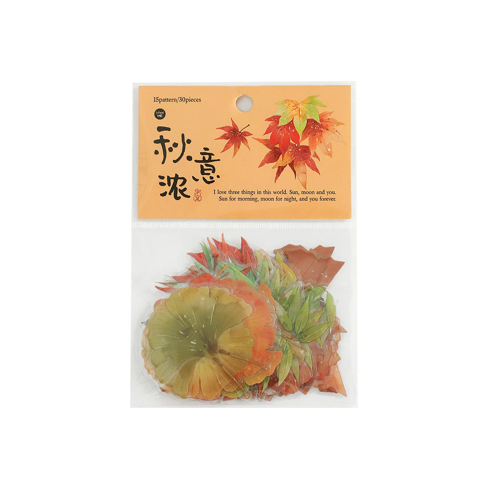 30pcs PET Life Stickers SJYS