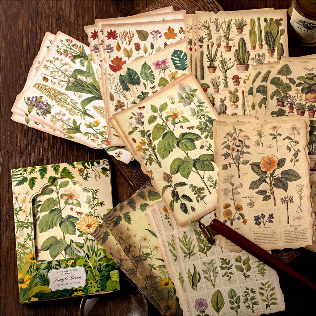 30 Pcs Vintage Scrapbook Paper WWYL