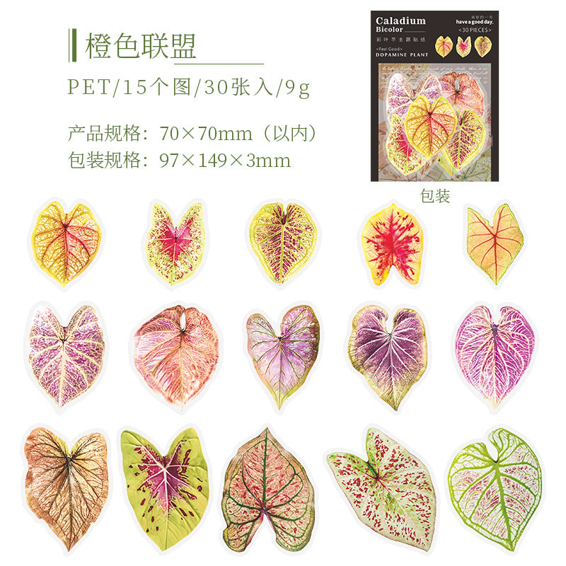 30pcs PET Leaf Stickers FZSY