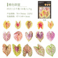 30pcs PET Leaf Stickers FZSY
