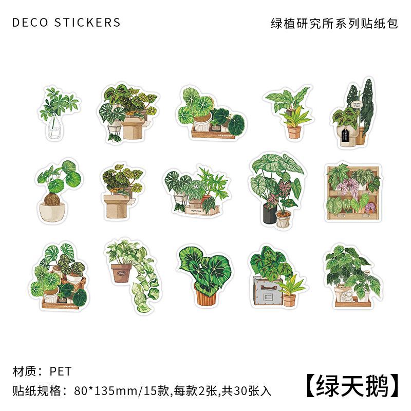 30pcs Nature Stickers LZYJ