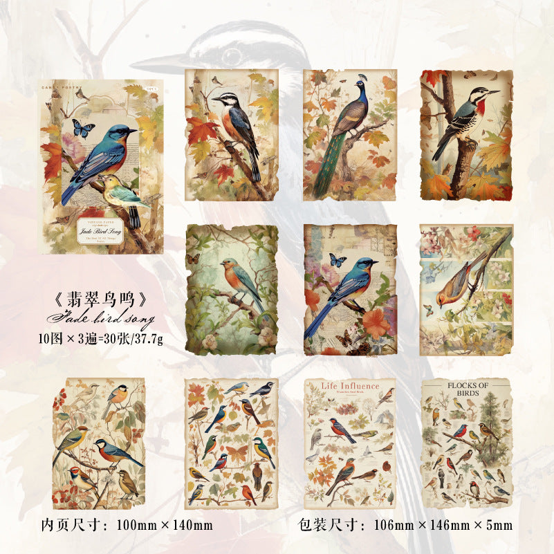 30 Pcs Vintage Scrapbook Paper WWYL