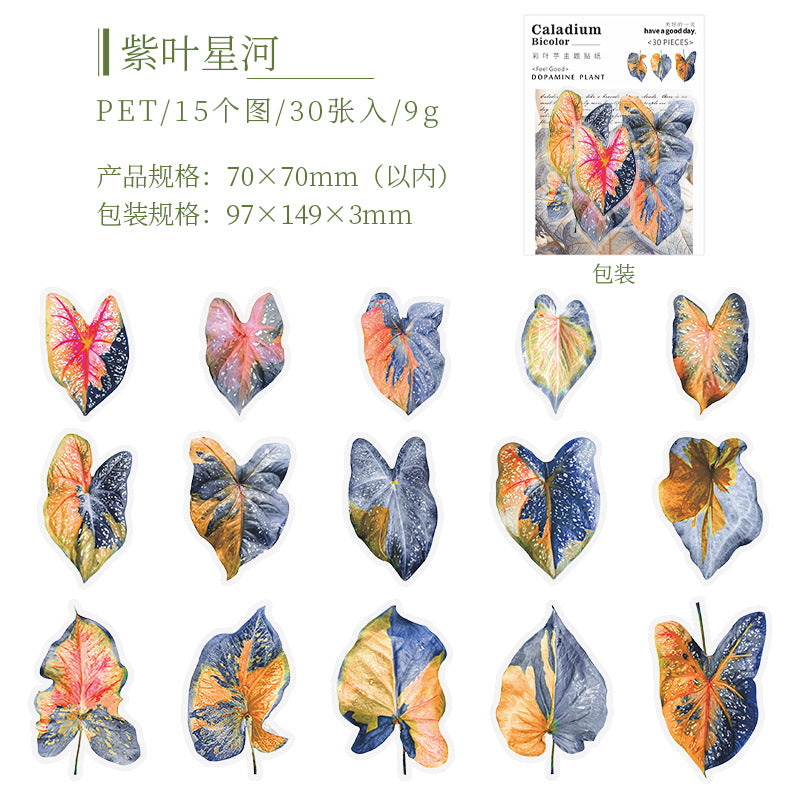 30pcs PET Leaf Stickers FZSY