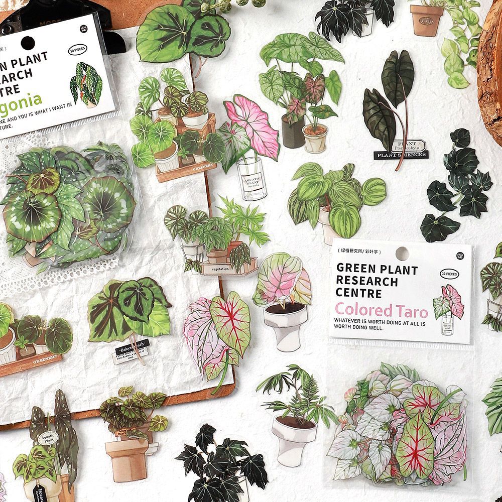 30pcs Nature Stickers LZYJ