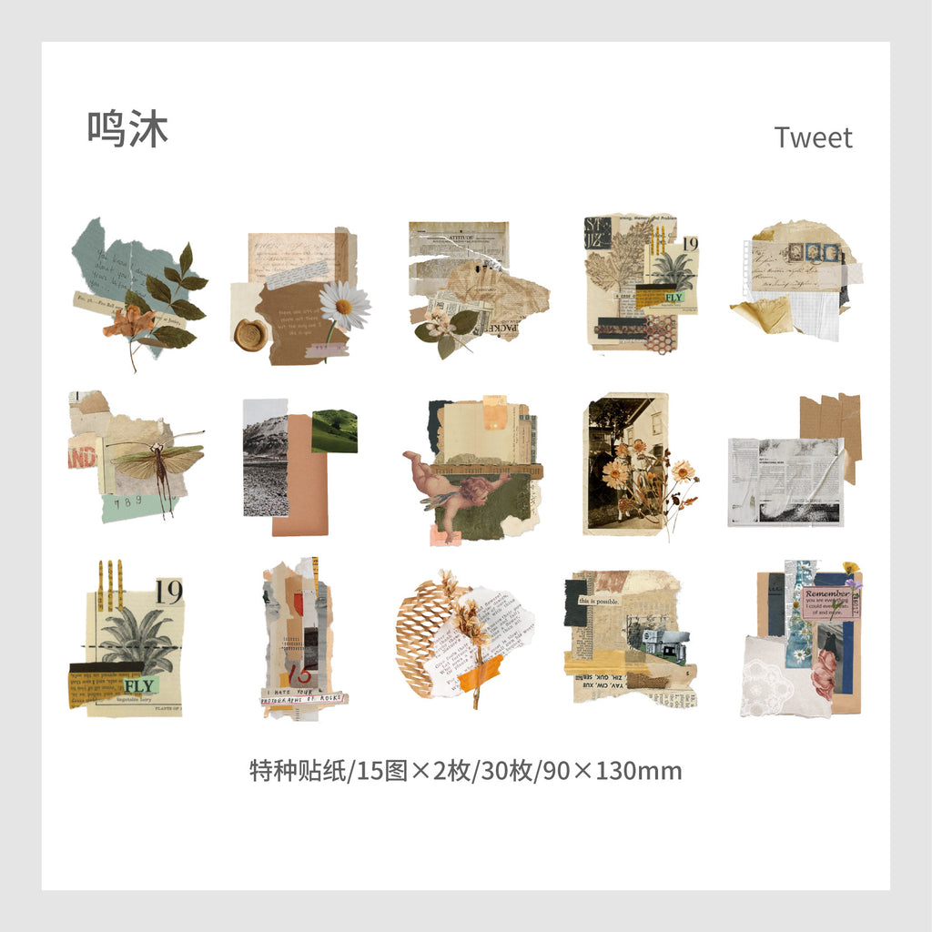 30pcs Vintage Scrapbook Stickers YCXL