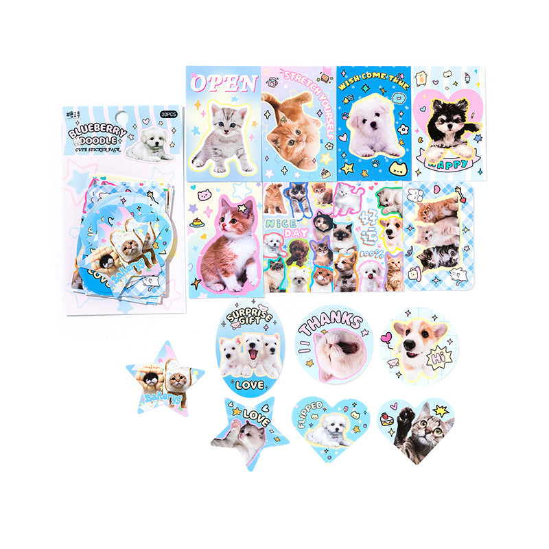 30pcs Animal Pet Stickers ABLY