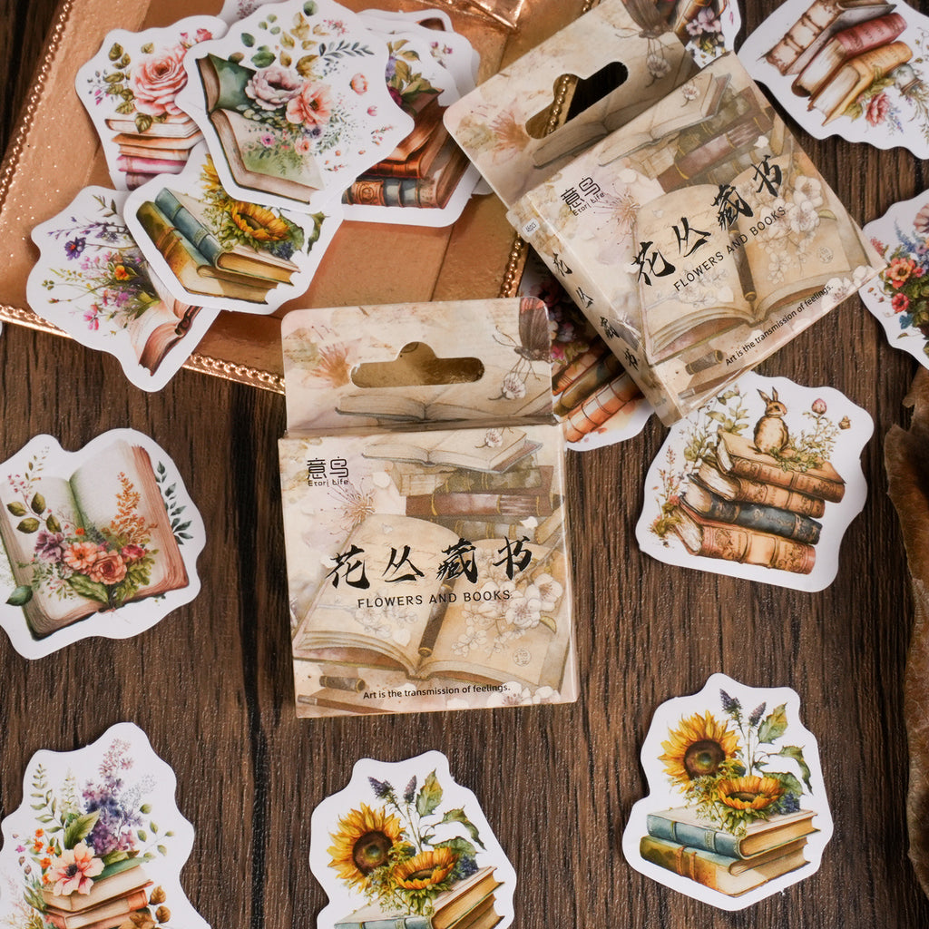 46pcs Boxed Book Stickers HCCS