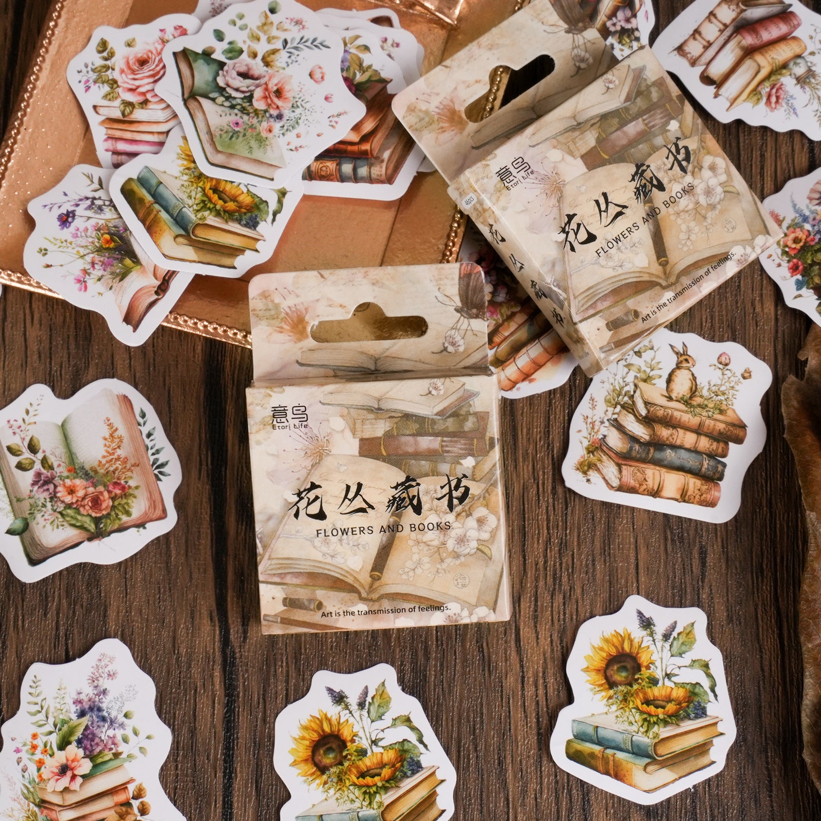 46pcs Boxed Book Stickers HCCS