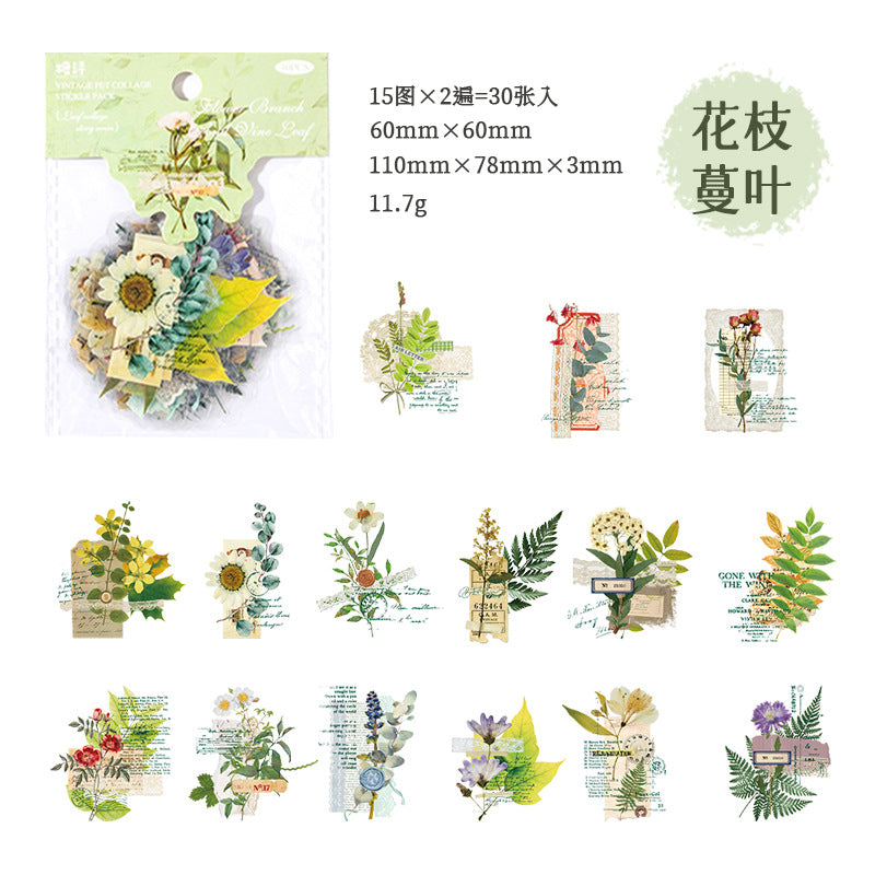 30pcs Vintage PET Collage Stickers YYPTWY
