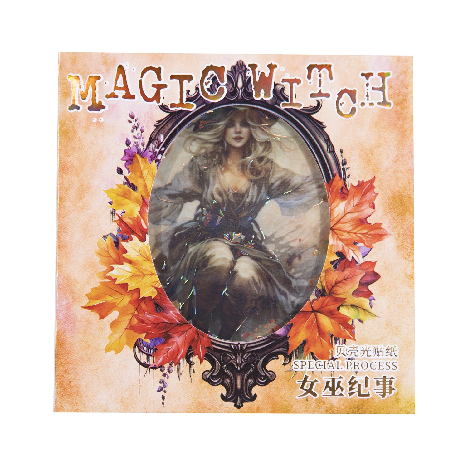 5 Pcs Witch PET Stickers MFNW