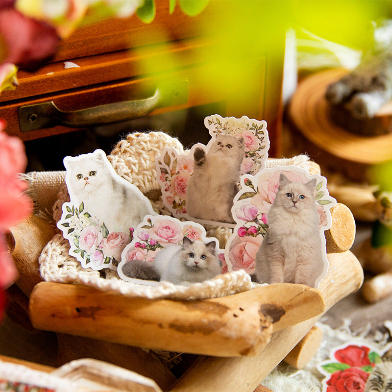 50PCS Cat Washi Stickers MMSJ