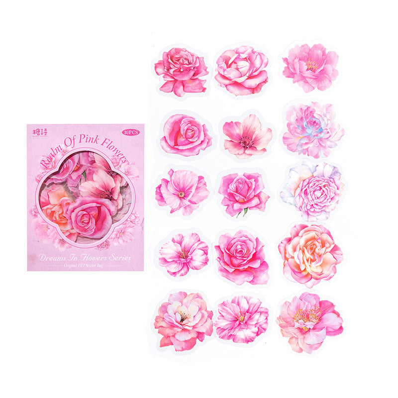 30PCS PET Stickers HJMJ