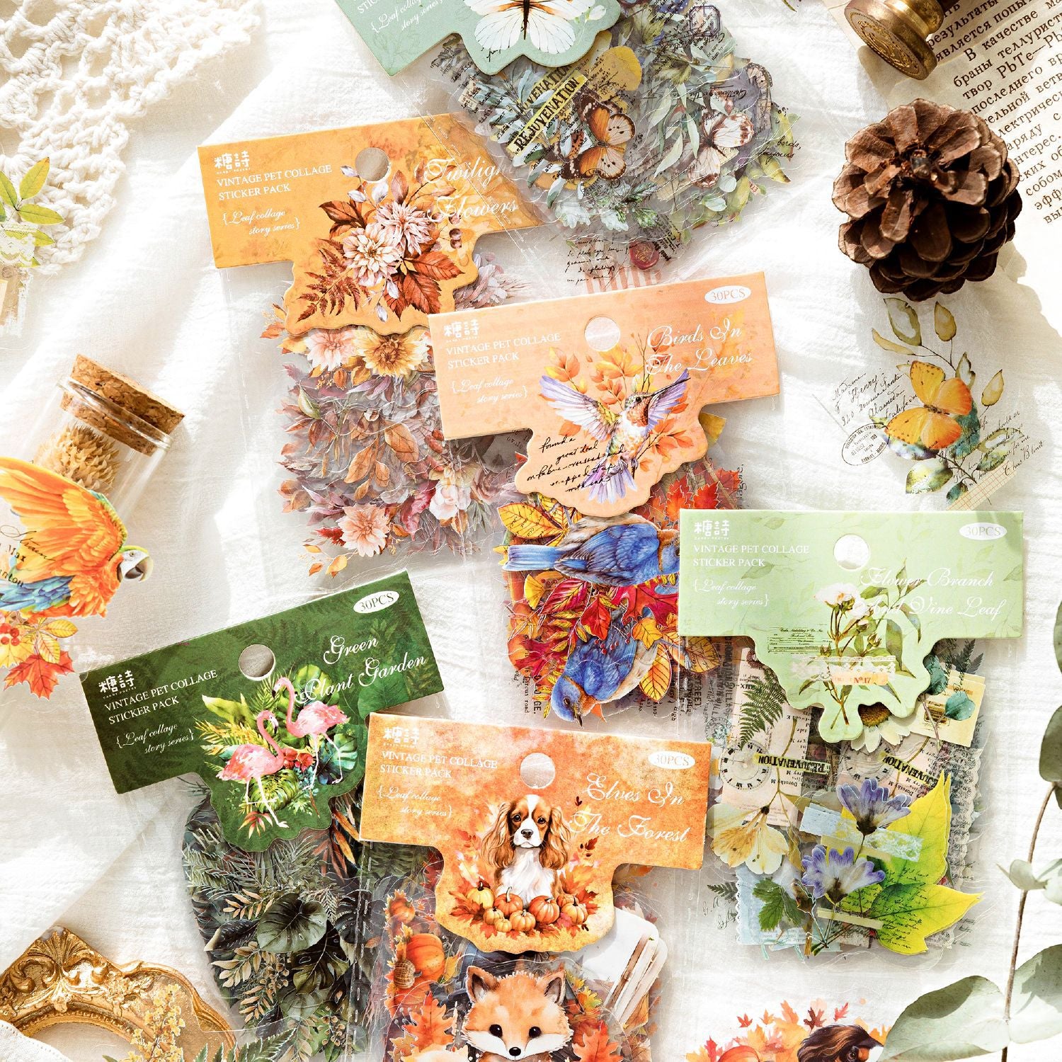 30pcs Vintage PET Collage Stickers YYPTWY