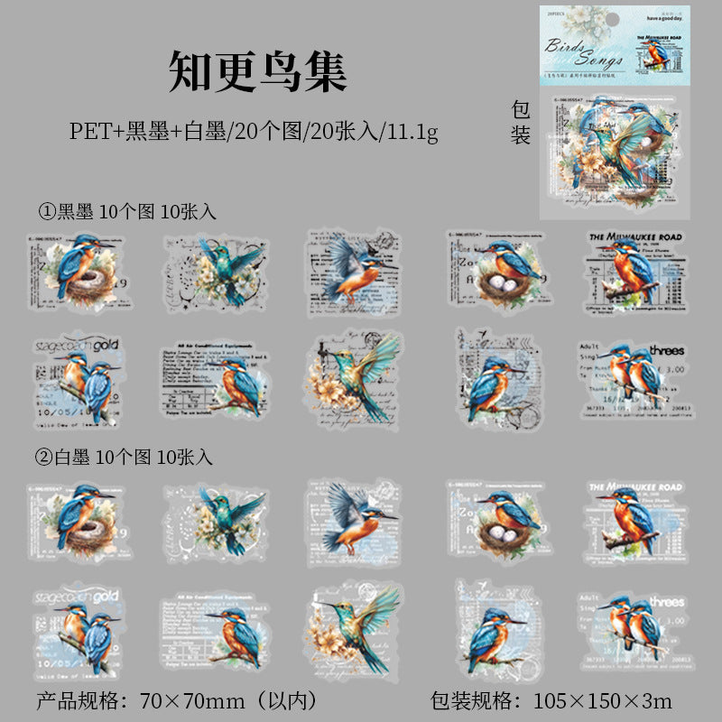 20pcs PET Bird Stickers FNYG