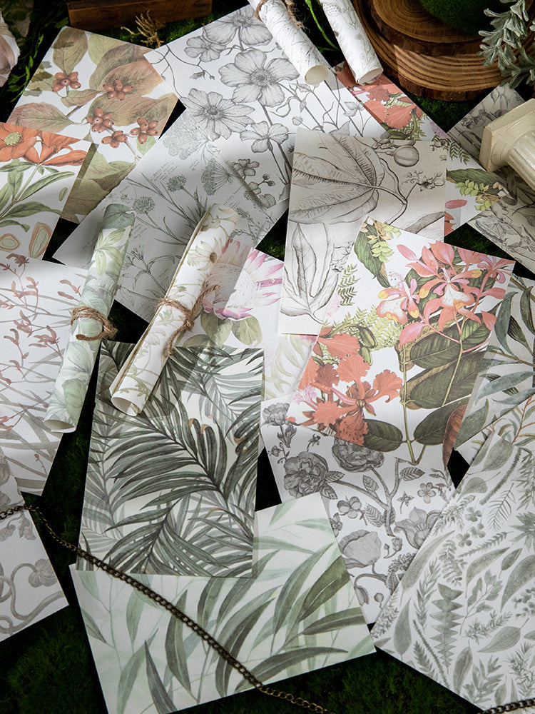 50pcs Vintage Scrapbook Paper WXZY