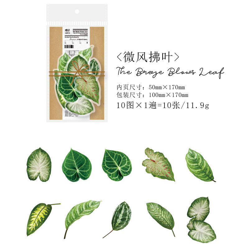 10Pcs PET Leaf Stickers YZQF