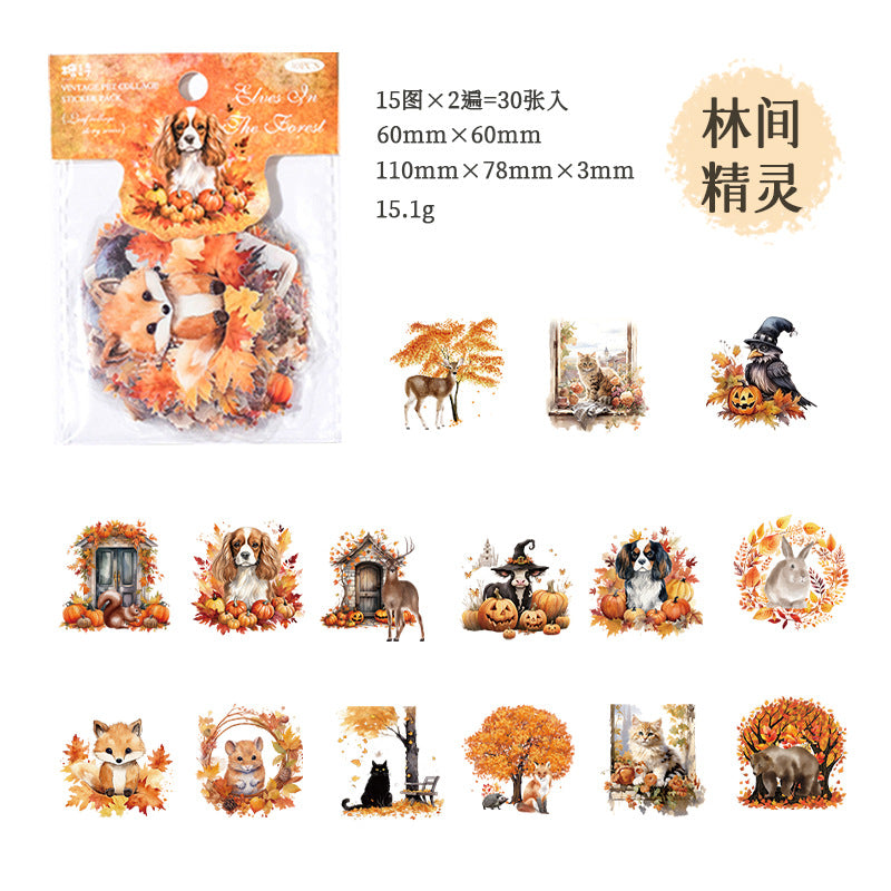 30pcs Vintage PET Collage Stickers YYPTWY