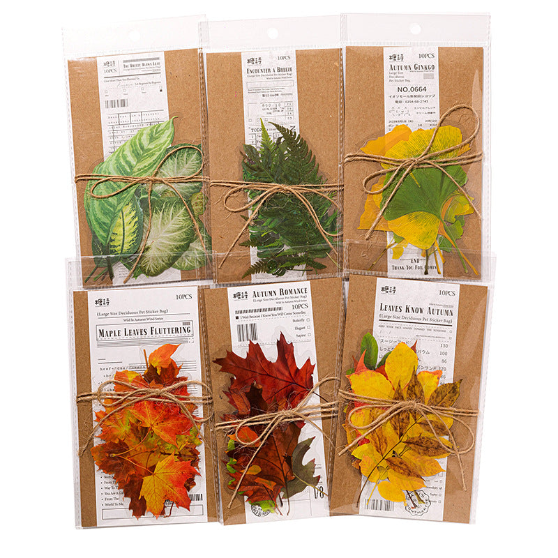 10Pcs PET Leaf Stickers YZQF