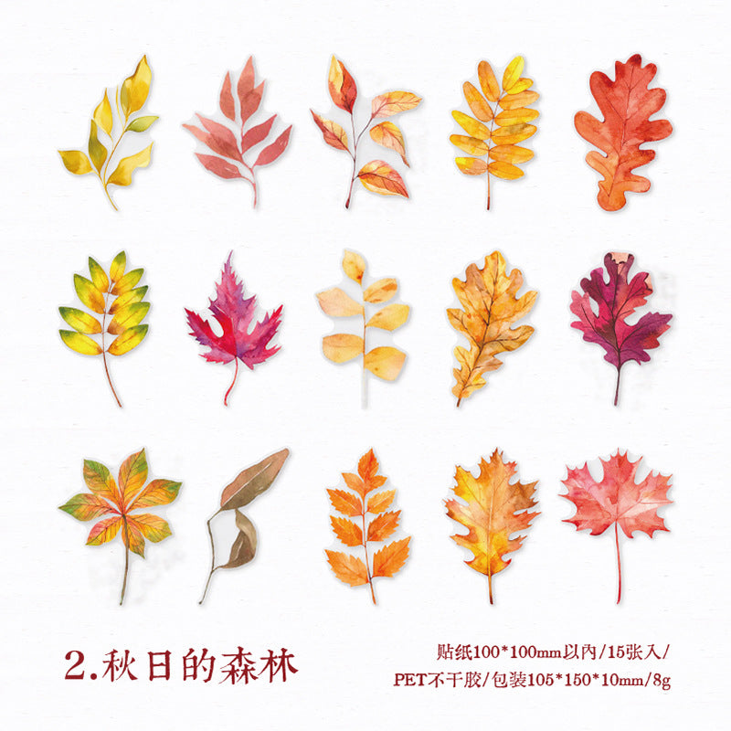 26pcs PET Word Stickes ZMHS