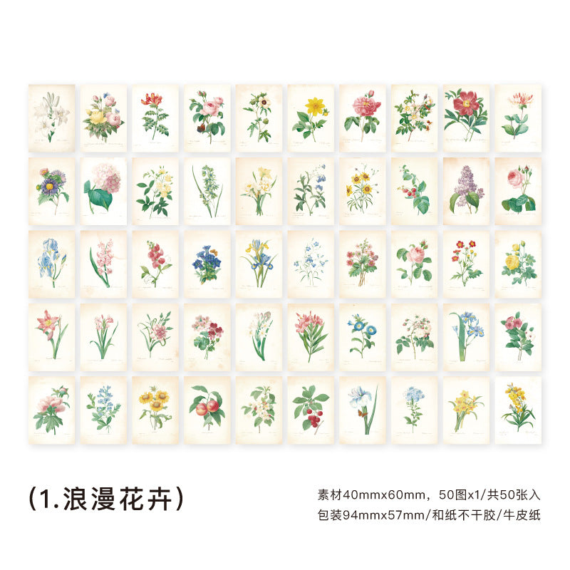 50 Pcs Washi Stickers Book FXLM