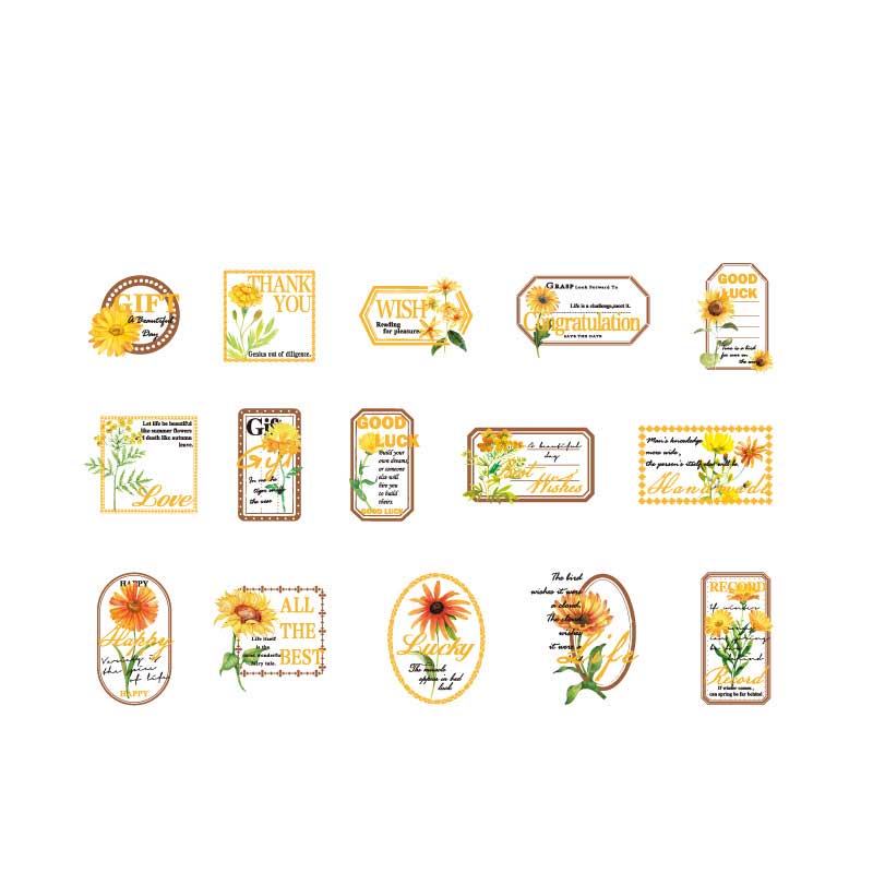 Lohua PET Stikers