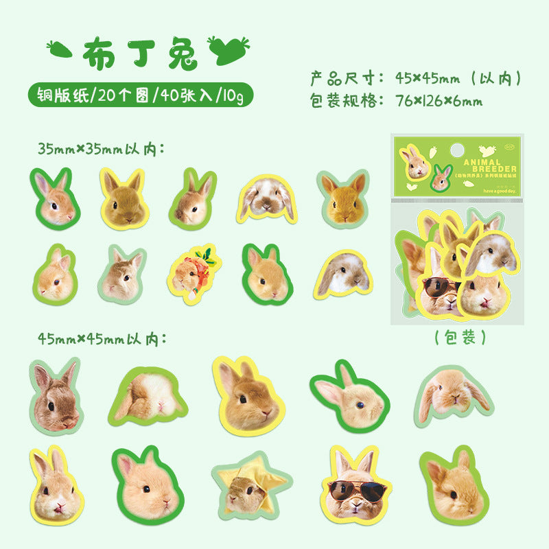 40PCS Animal Pet Stickers DWSYY
