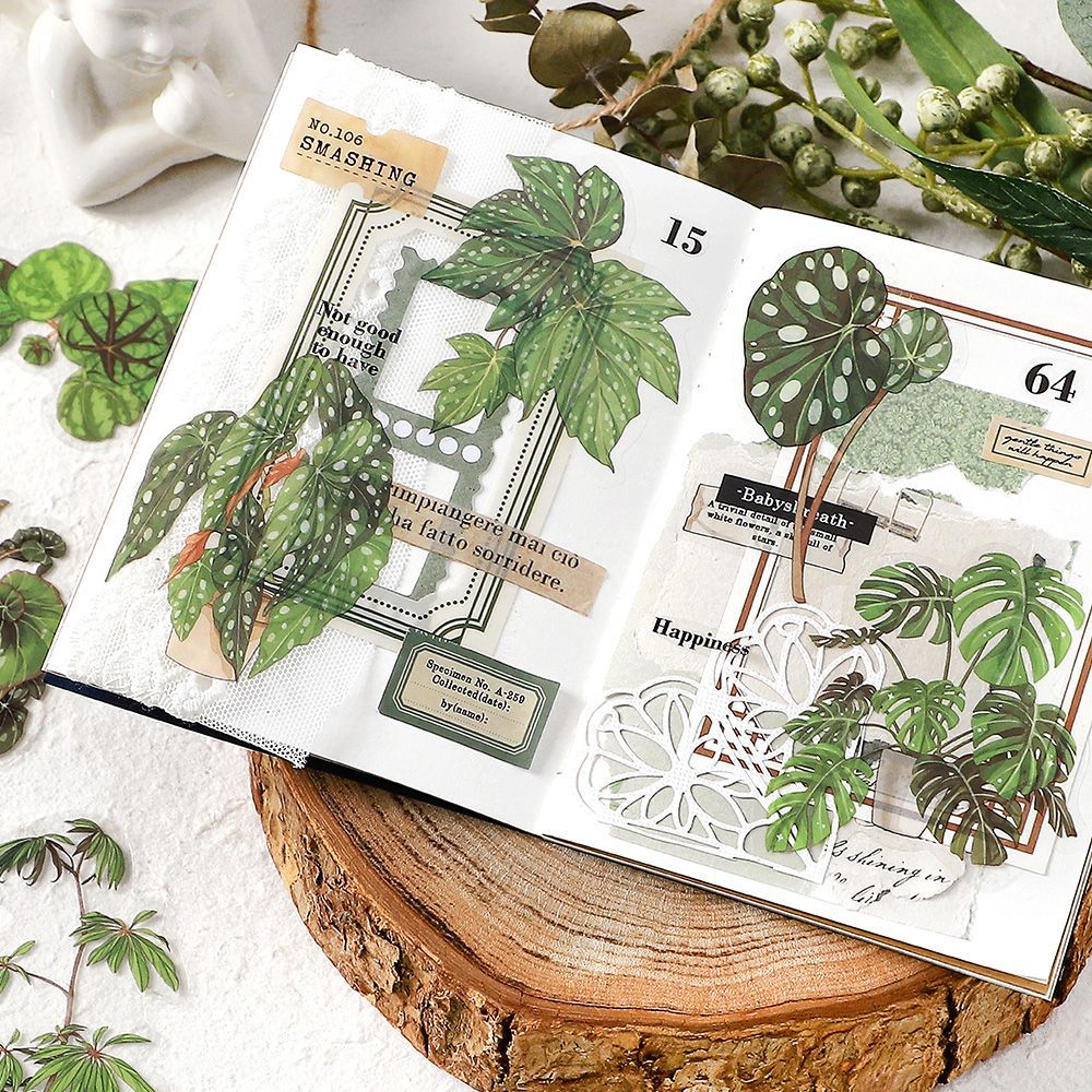 30pcs Nature Stickers LZYJ
