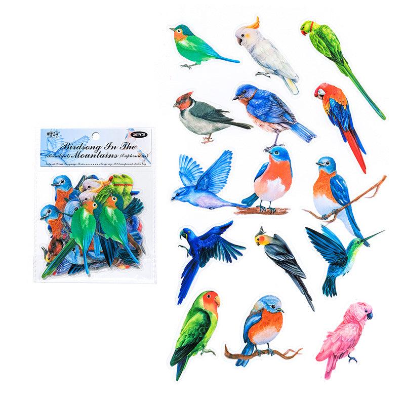 30PCS PET Stickers ZRMY