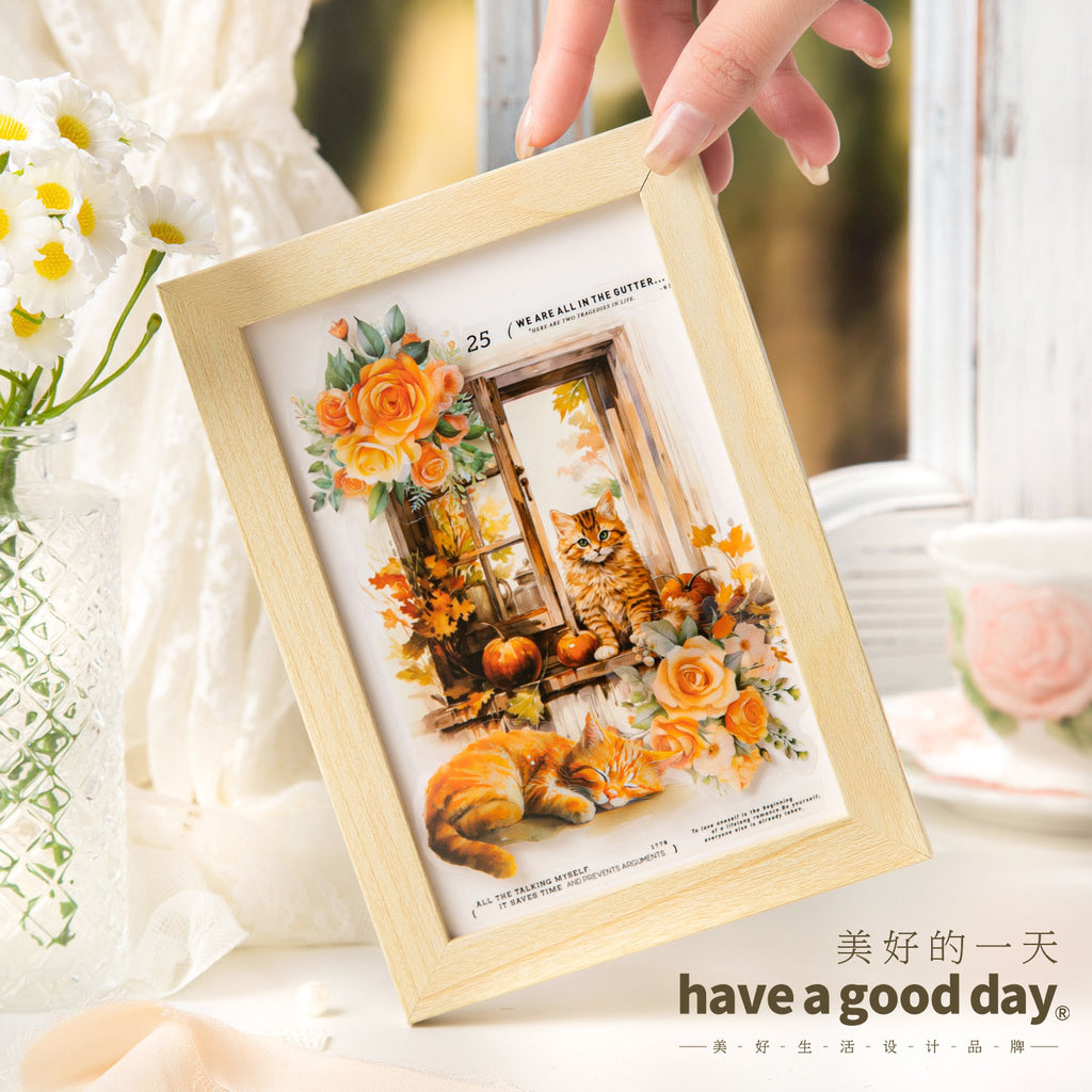 30 Pcs Windows Cat PET Stickers CTDM