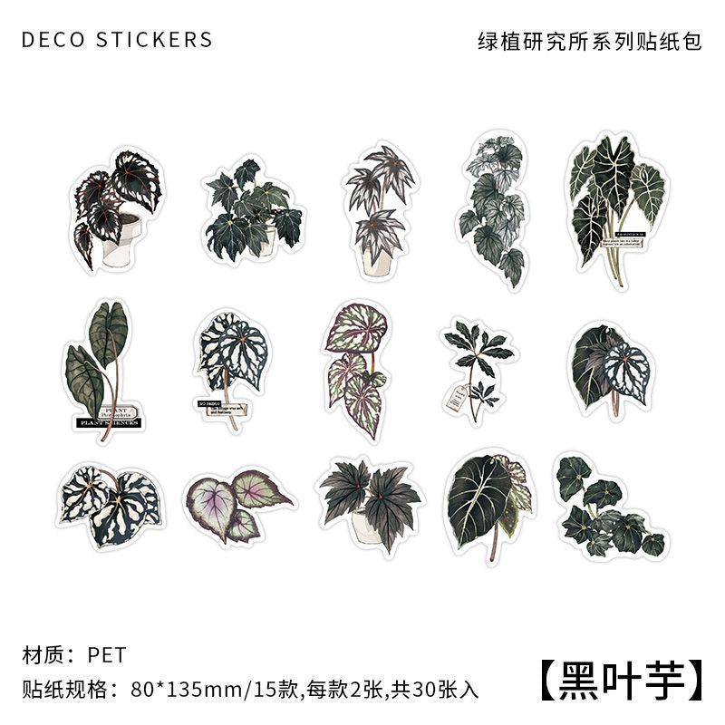 30pcs Nature Stickers LZYJ